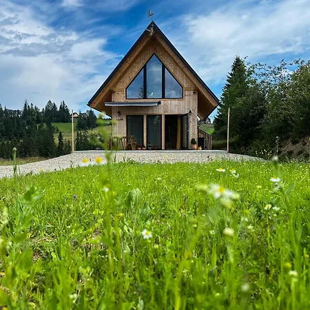 Villa Cicho Tu Bukowina Tatrzańska Exterior foto